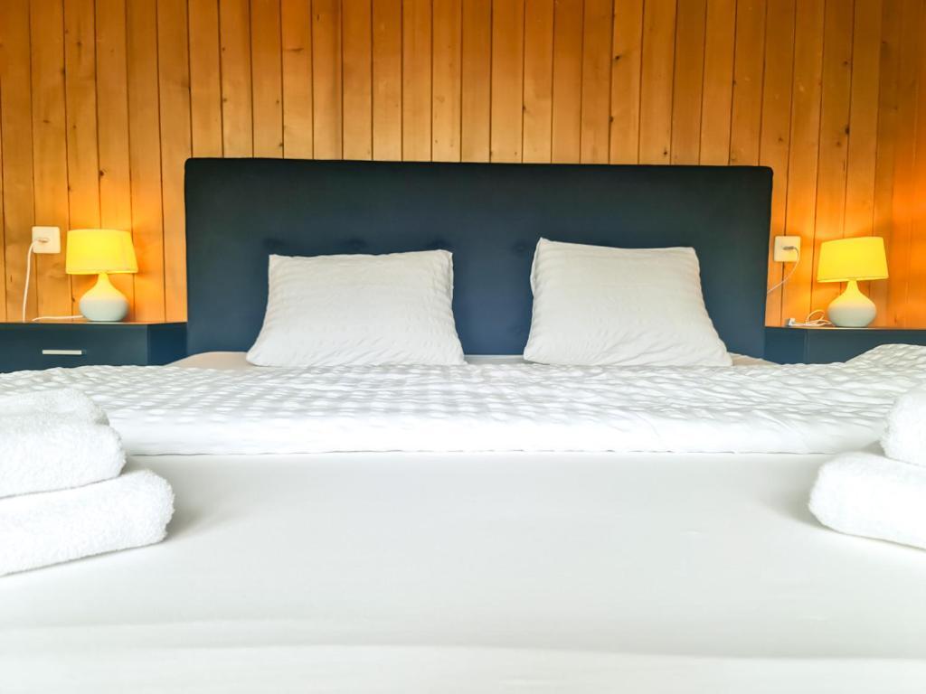 Abendberg Apartment - Aare Jungfrau Ag Wilderswil Extérieur photo