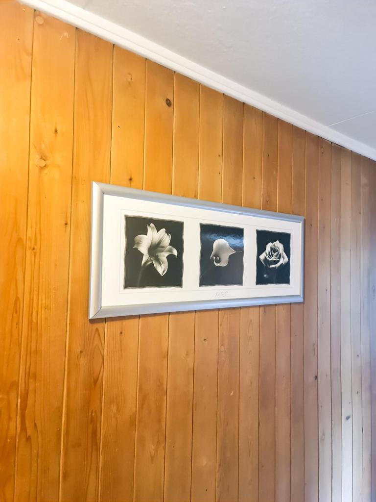 Abendberg Apartment - Aare Jungfrau Ag Wilderswil Extérieur photo